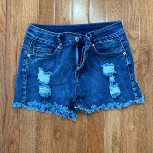 American Eagle Outfitters Blue Jean Shorts